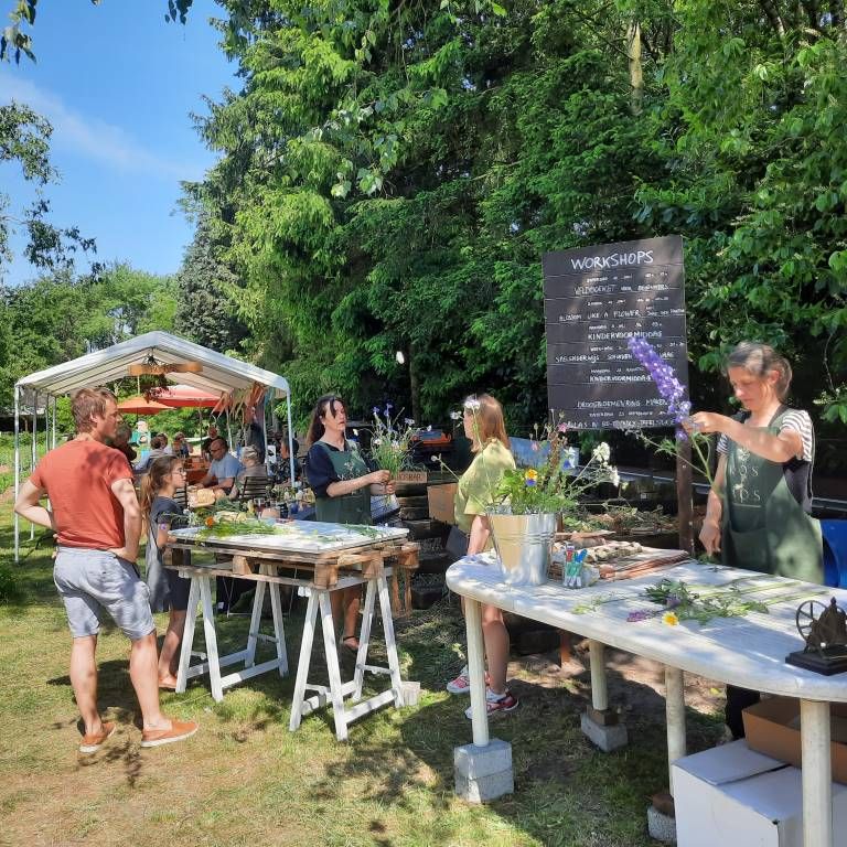 Afbeelding van het artikel