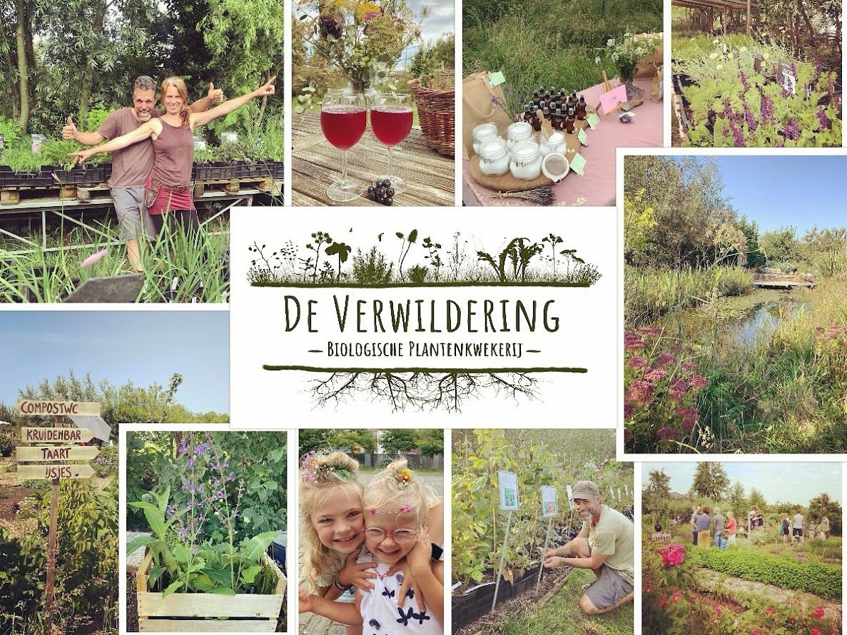 Afbeelding van het artikel