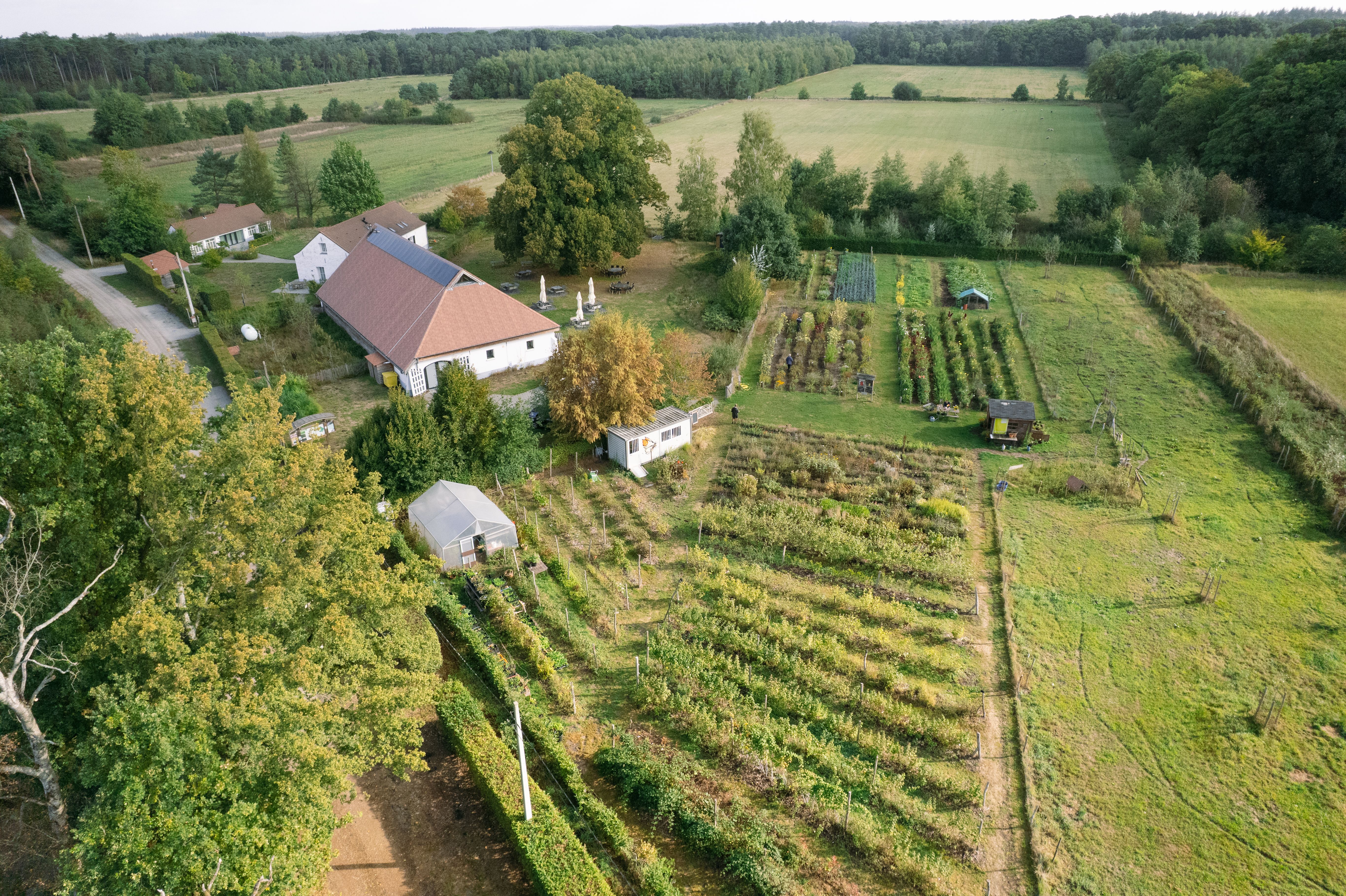 Afbeelding van het artikel