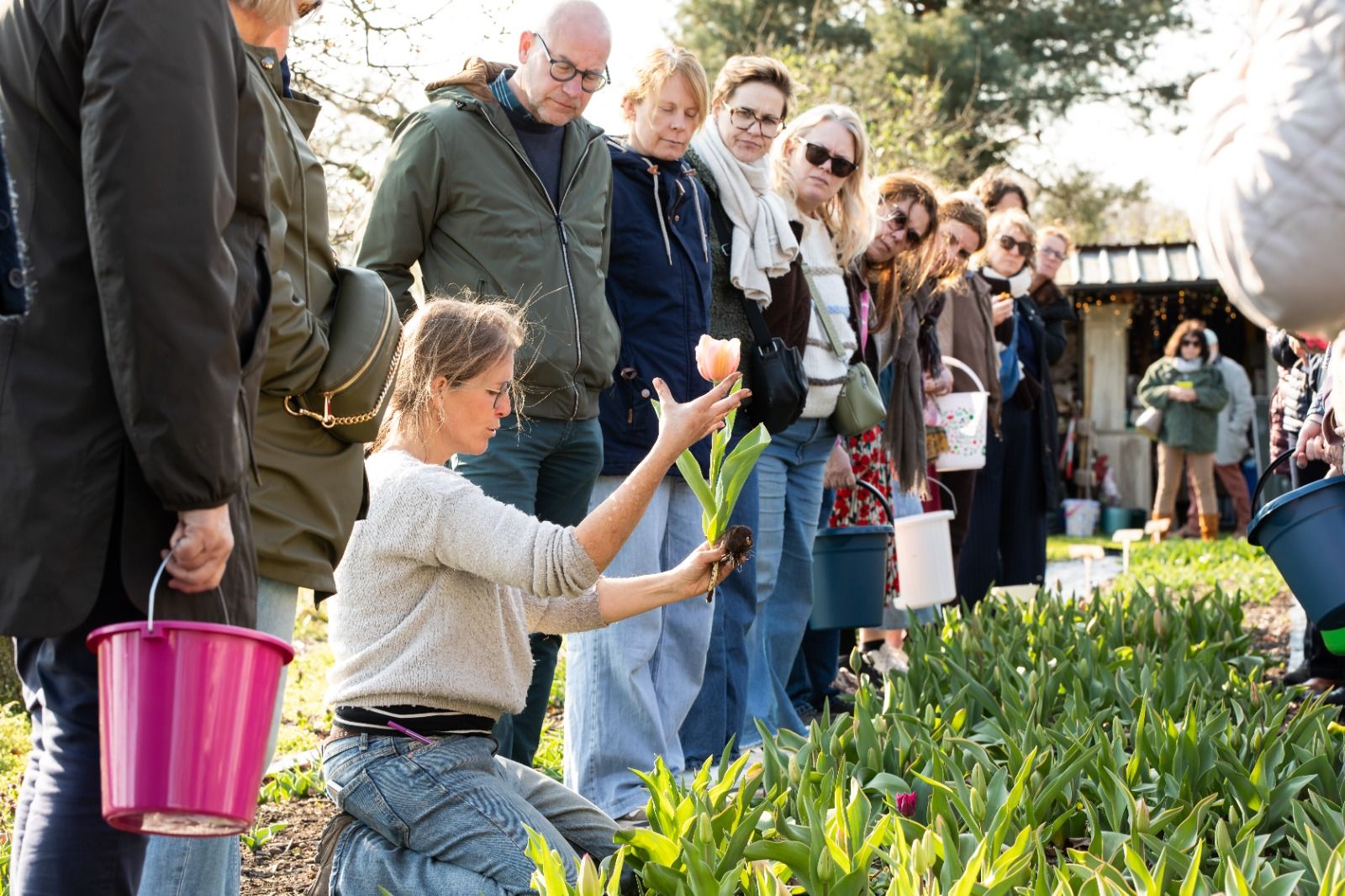 Afbeelding van het artikel