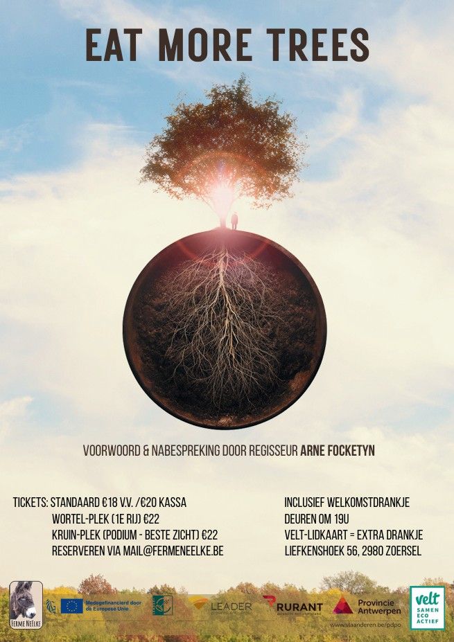 Afbeelding van het artikel