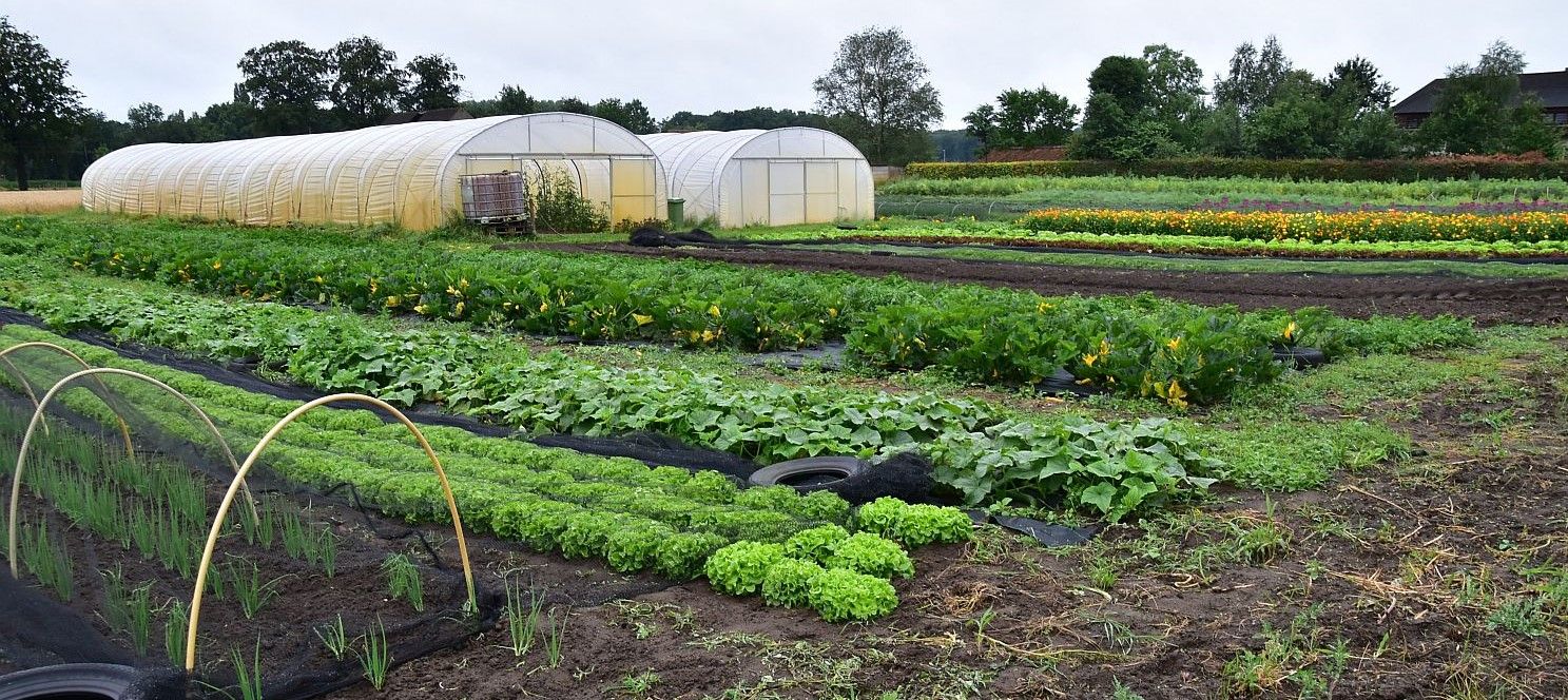 Hoofdafbeelding van het gerelateerde artikel