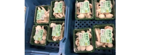 Deze champignons zijn klaar om naar de veiling te gaan - (c) Chamrova
----
Sort: 5