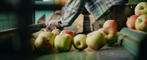 Bioappels vers van de boom - (c) VLAM, ViaVictor