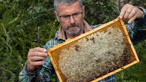 De teler maakte zijn bijtjes gelukkig met een rijke biotoop - (c) VLAM, ViaVictor