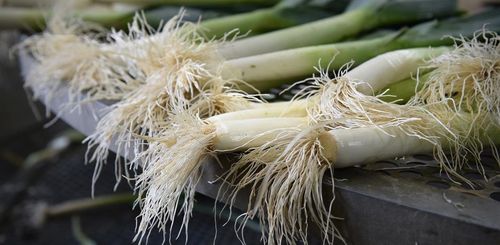 Vers geoogste bioprei - (c) REO Veiling
----
Sort: 4