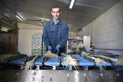 Davy Bovyn aan de sorteermachine - (c) REO Veiling
----
Sort: 5