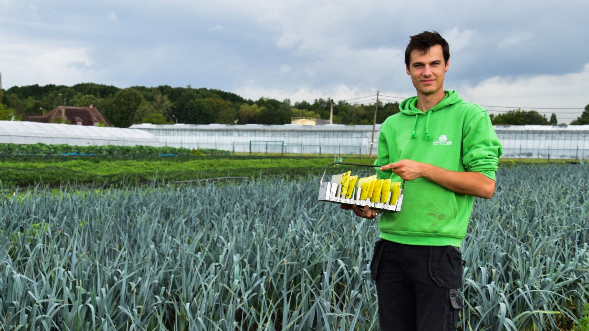 Sander Fleerakkers toont een aantal insectenvallen op het veld van het Proefstation - (c) VLAM, Patricia De Laet
